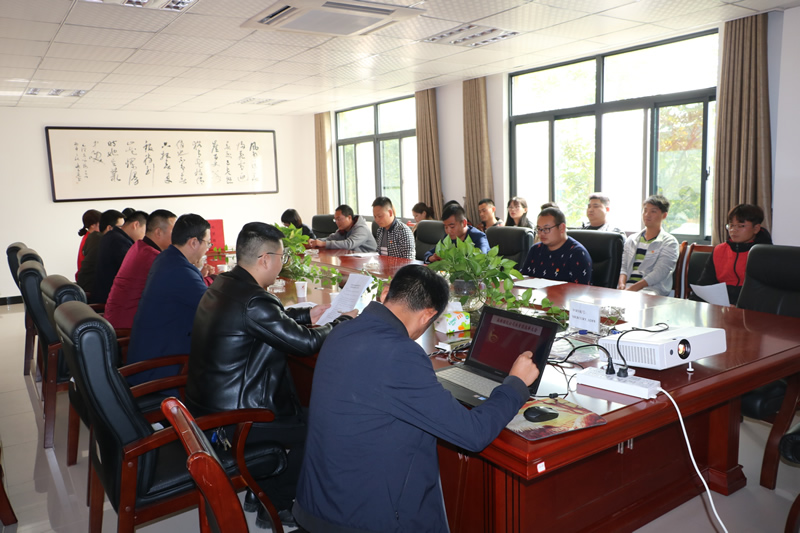 高新綠化公司團支部委員選舉大會照片