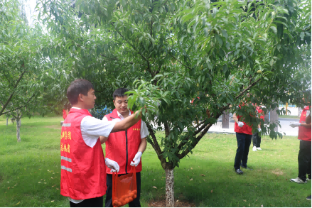 綠化公司黨支部開展中央八項規定精神學習教育第七次集中學習